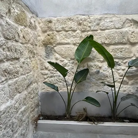 Maison Poissonnerie Le Grau-du-Roi